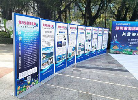 漳州KT板的种类和知识。